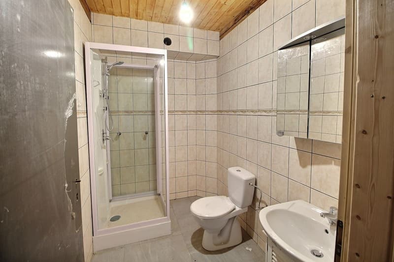 Dans corps de ferme: Grand appartement à finir de rénover (5)