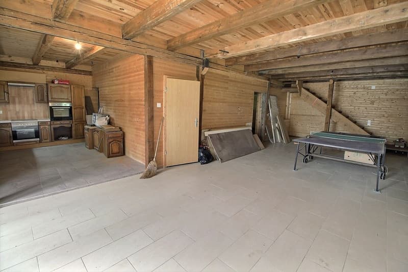 Dans corps de ferme: Grand appartement à finir de rénover (3)