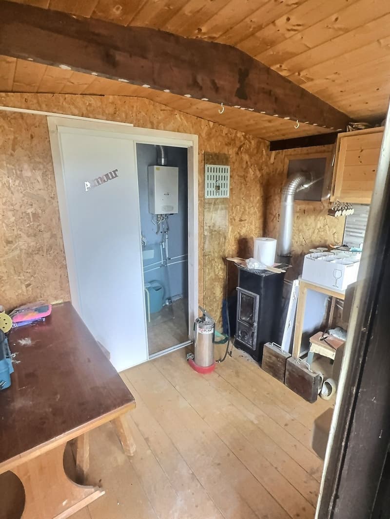 Cabanon de jardin aménagé avec terrain pour amoureux de la nature (7)