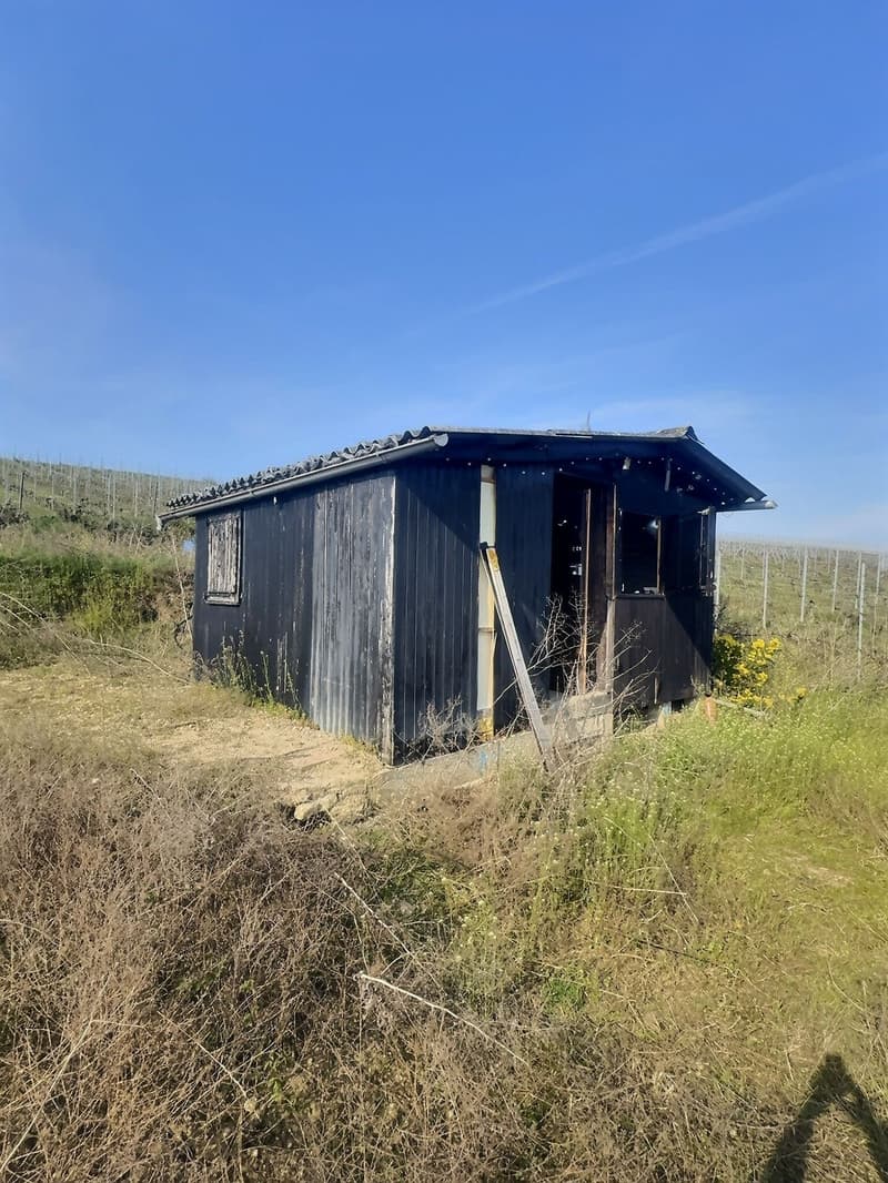 Cabanon de jardin aménagé avec terrain pour amoureux de la nature (2)