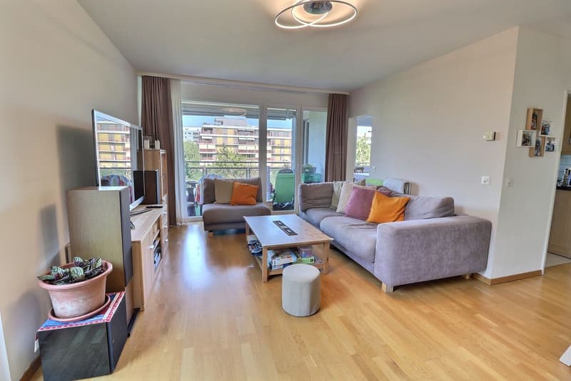 Magnifique appartement de 5 pièces quartier La Châtelaine (6)