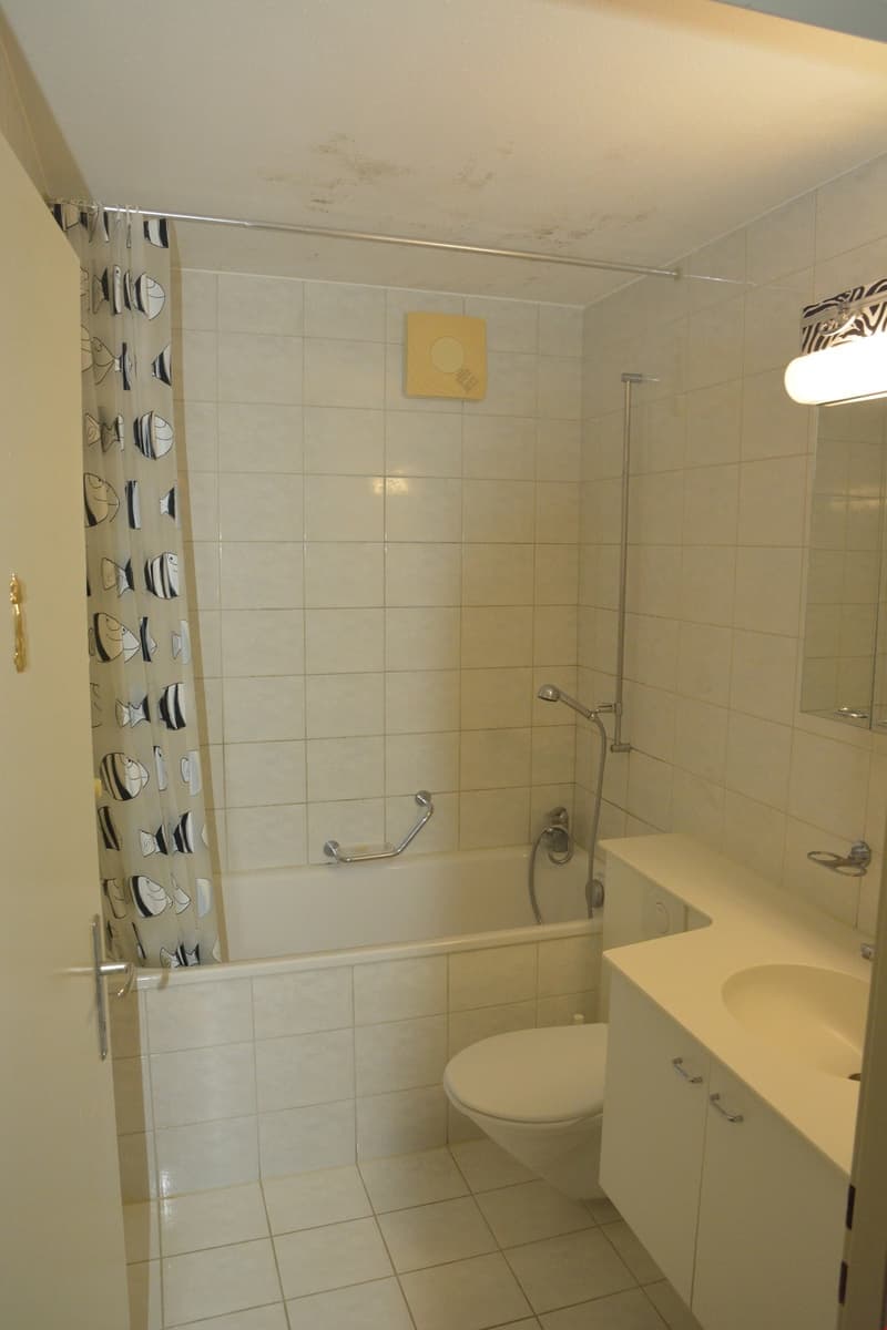 Schöne Wohnung in Langenthal zu vermieten (6)