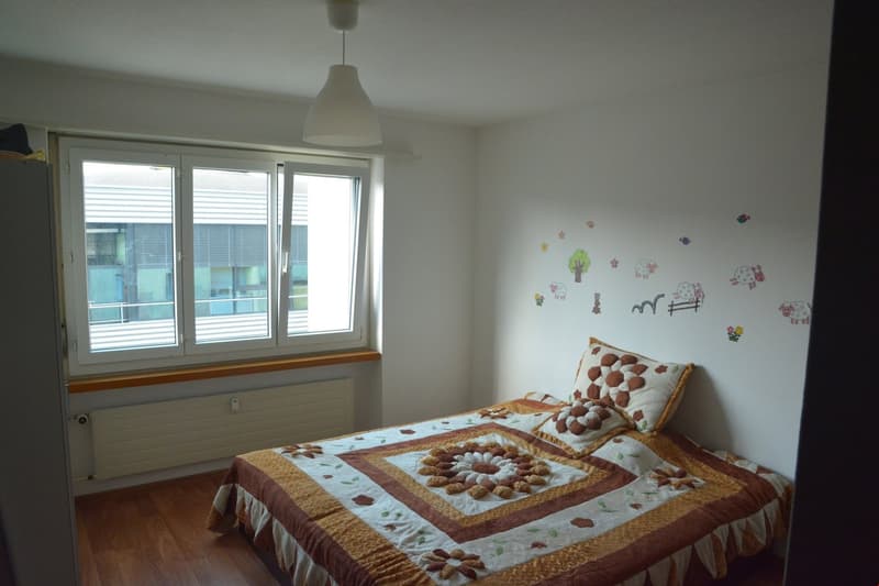 Schöne Wohnung in Langenthal zu vermieten (5)