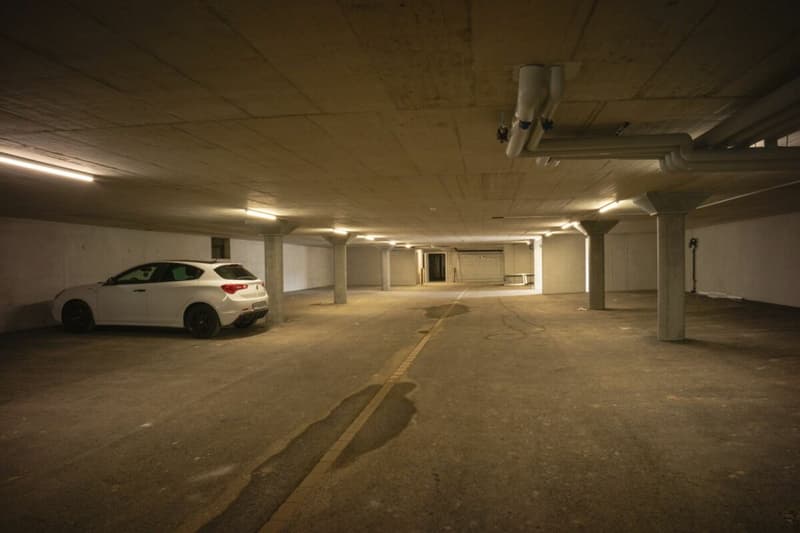 MFH 2.5 Zimmerwohnung im EG links Hofackerweg 22 (22.01) (9)