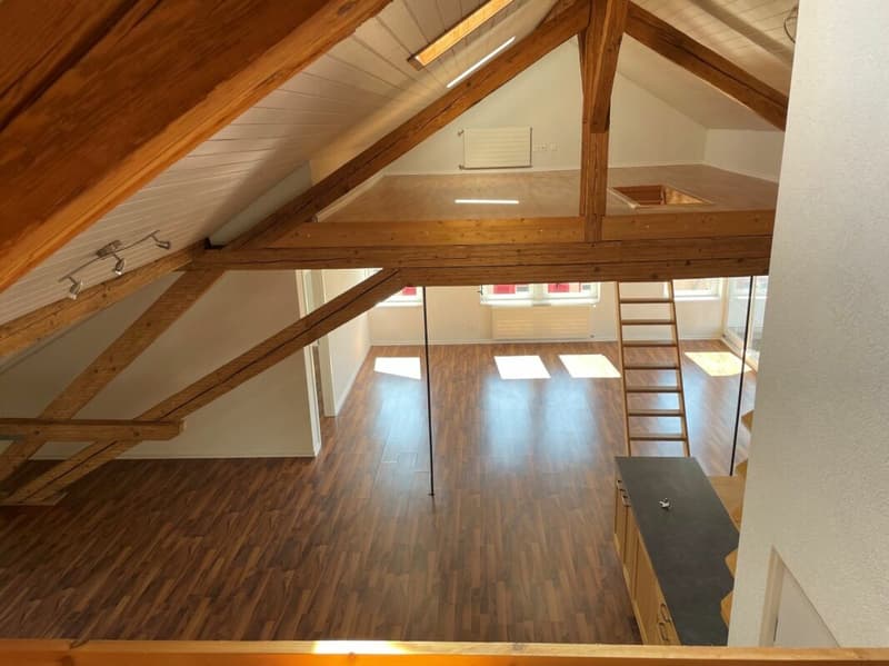 5.5 Zimmer-Wohnung (6)