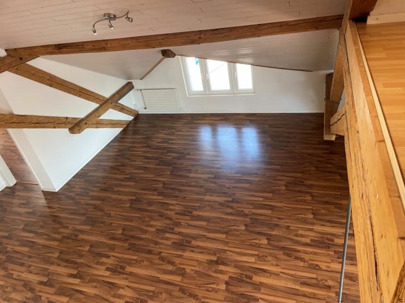 5.5 Zimmer-Wohnung (5)