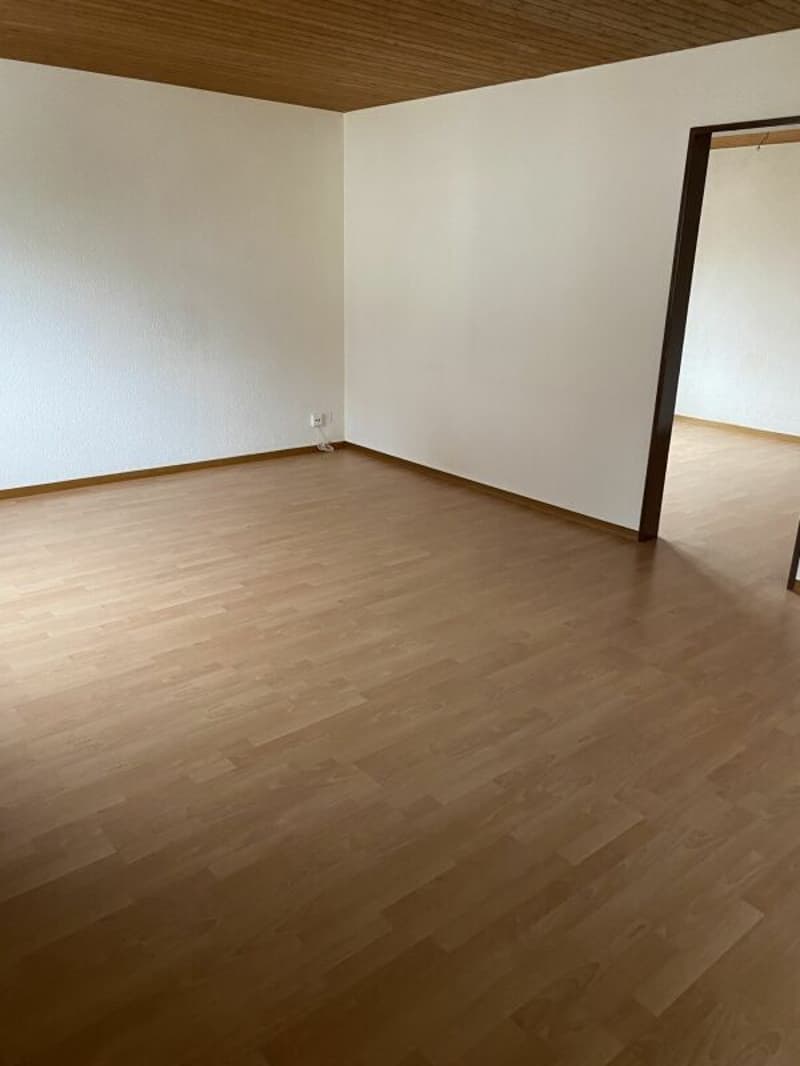 2.5-Zimmer-Wohnung zu vermieten (2)