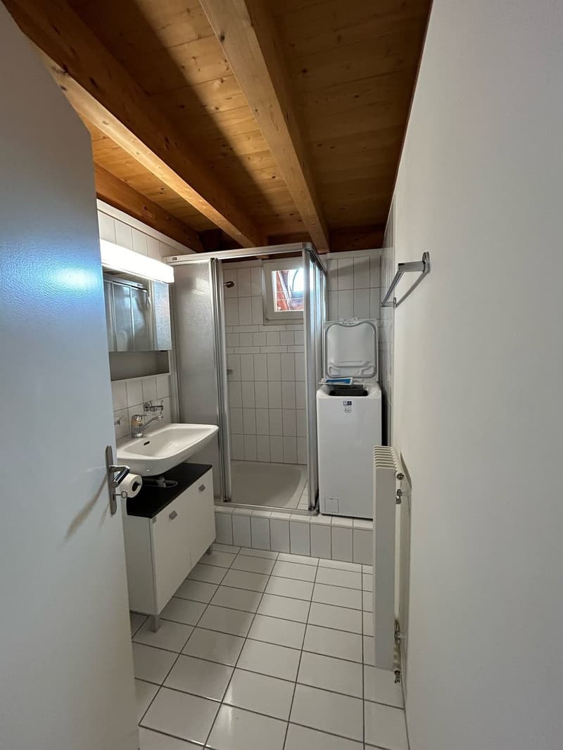 Lichterfüllte Dachwohnung mit Charme (5)