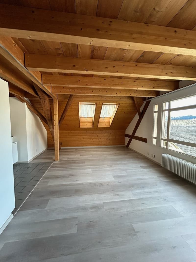 Lichterfüllte Dachwohnung mit Charme (3)