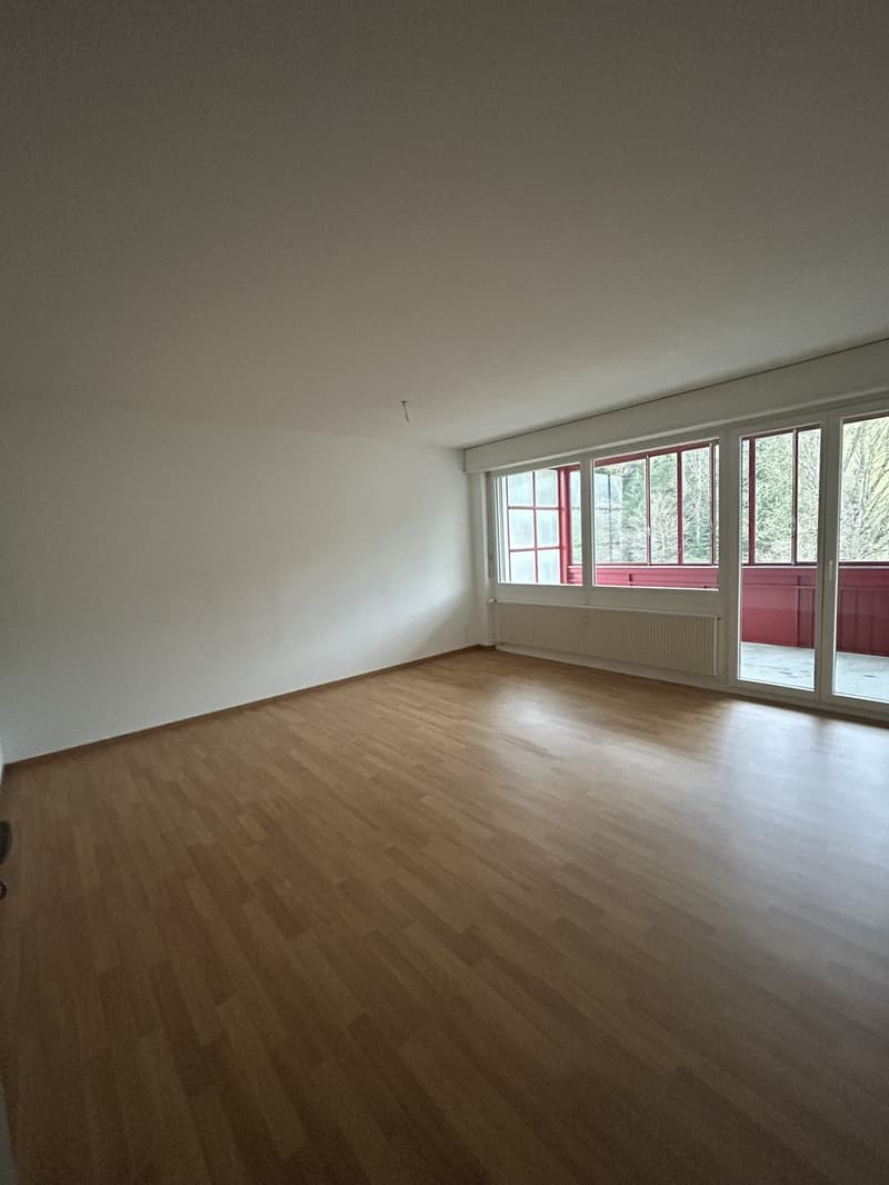 Grosszügige 4.5-Zimmerwohnung in Trubschachen (3)