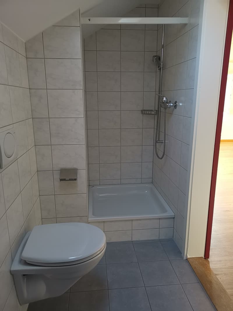 1 Zimmer-Dachwohnung, 3555 Trubschachen (4)