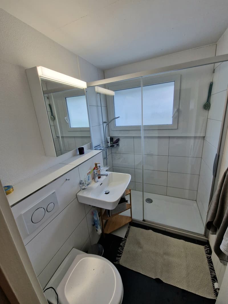 Attraktive 4.5-Zimmerwohnung mit Balkon (6)