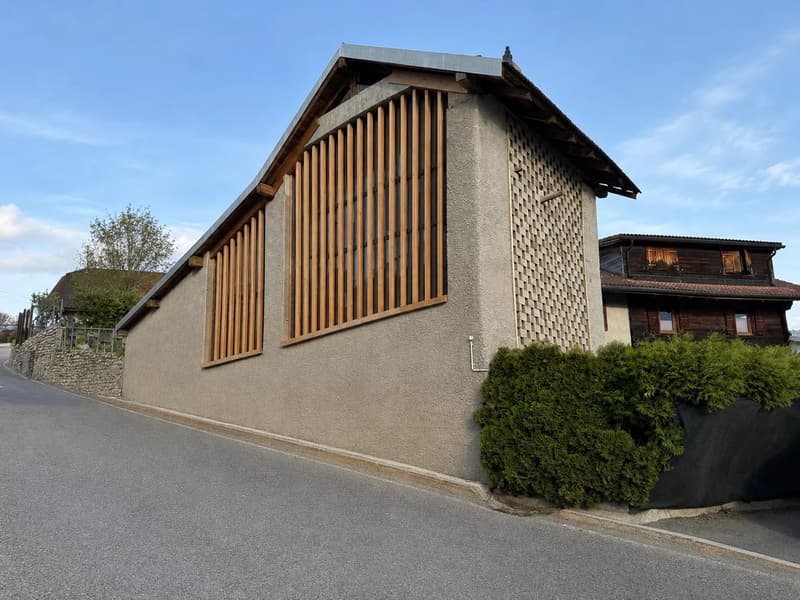 Habitation atypique Savièse (2)