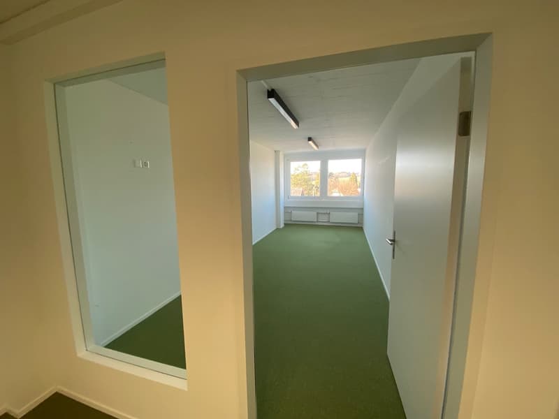 empty room, white walls, ceiling lights, window, window with green view, green floor