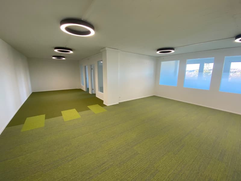 an empty room with green carpet and white walls, 5 ceiling lights, and 3 large windows on the wall