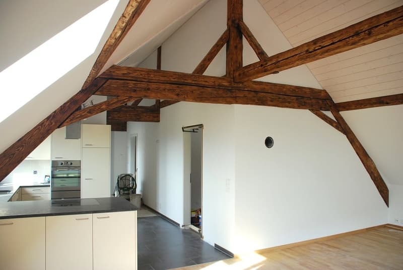 Moderne Dachwohnung mit besonderem Ambiente (1)