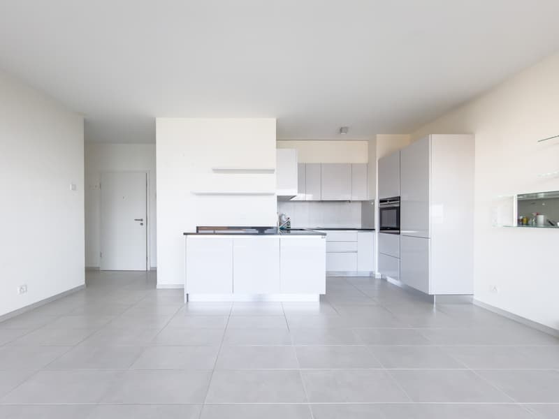 Appartement de 3.5 pces face au lac (3)