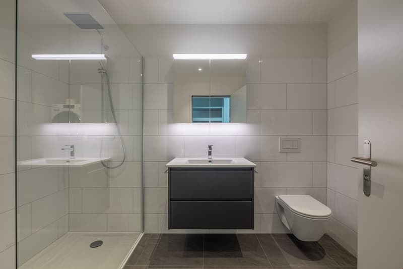BELLiSSA - Moderne 2.5-Zimmerwohnung (5)