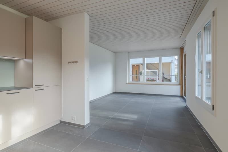 Moderne, neu renovierte Wohnung im Hochparterre (3)