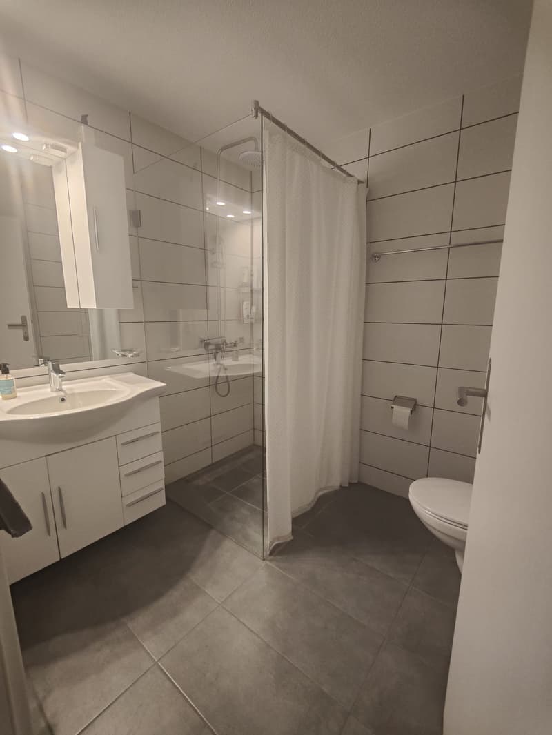modern bathroom with shower, sink, toilet, white tiles, white cabinets, mirror