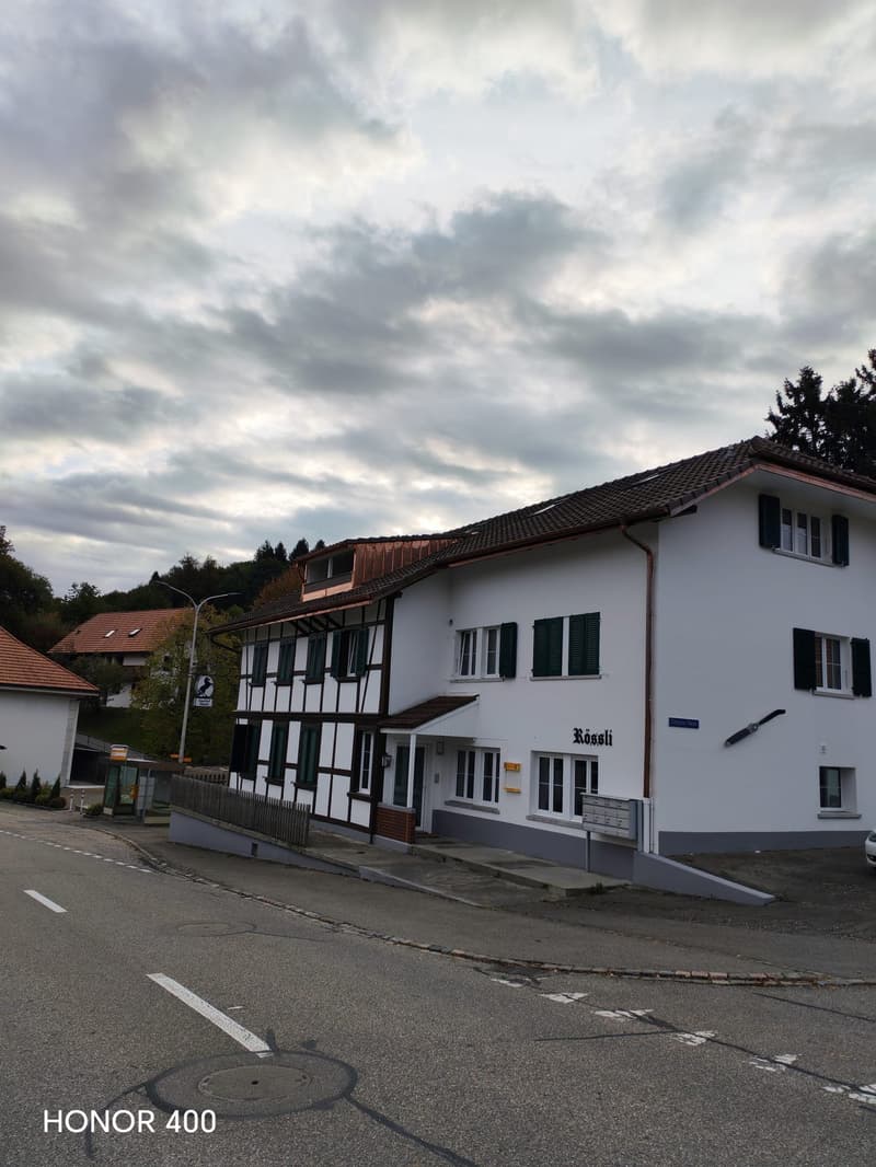 Charmante 3-Zimmer-Dachwohnung an der Hauptstrasse in Biezwil (1)