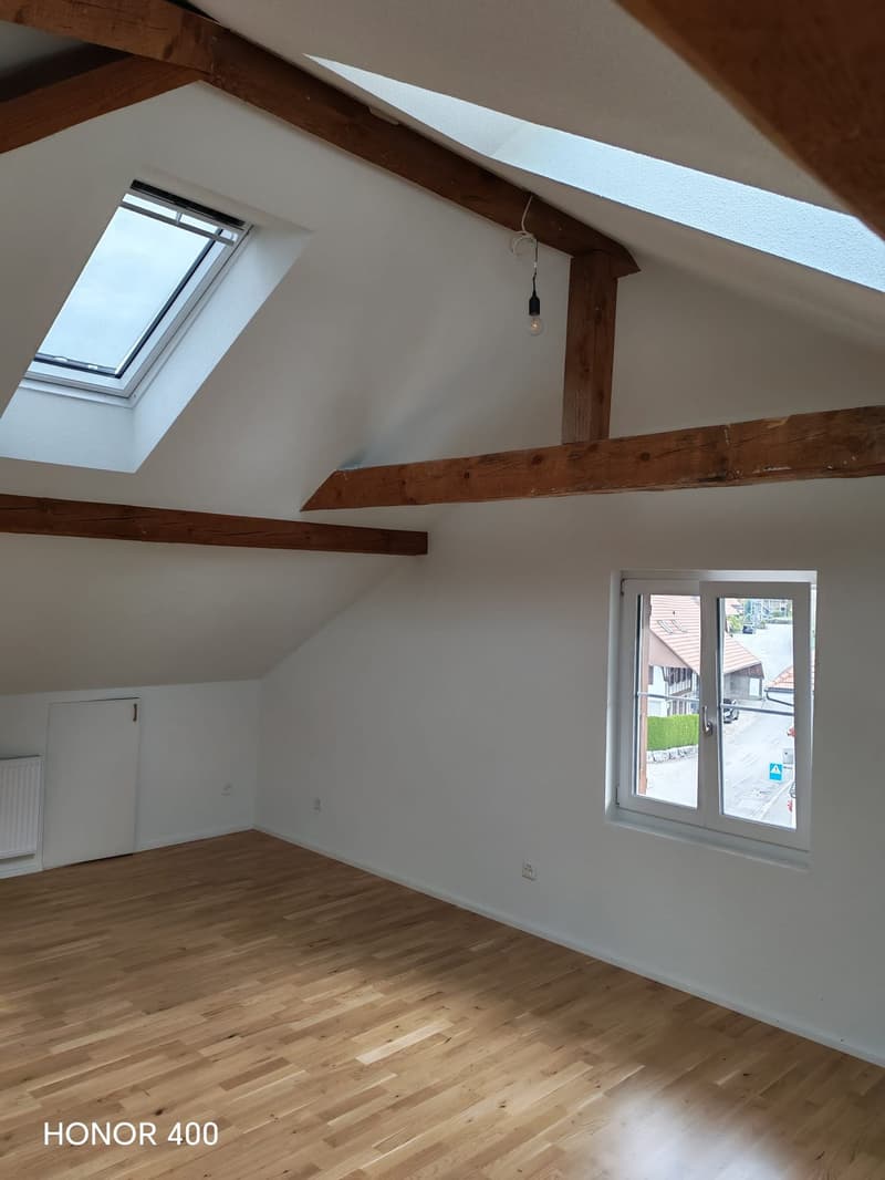 Charmante 3-Zimmer-Dachwohnung an der Hauptstrasse in Biezwil (3)