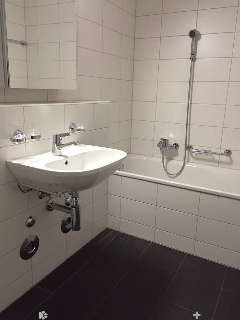 Schöne 2.5-Zimmerwohnung an ruhiger Lage (4)