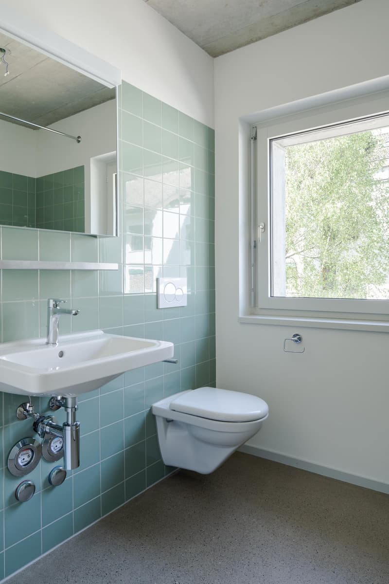Grosszügige Dachwohnung an ruhiger Lage (3)