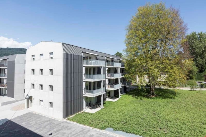 Grosszügige Dachwohnung an ruhiger Lage (6)