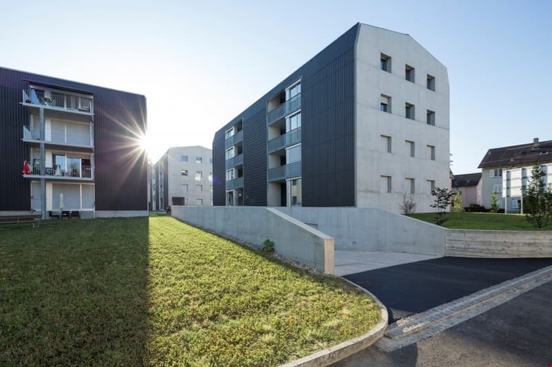Grosszügige Dachwohnung an ruhiger Lage (5)