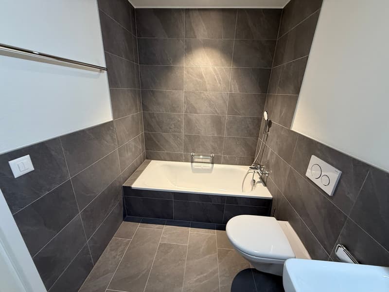 Bathroom with bathtub, toilet, sink, and gray tiles