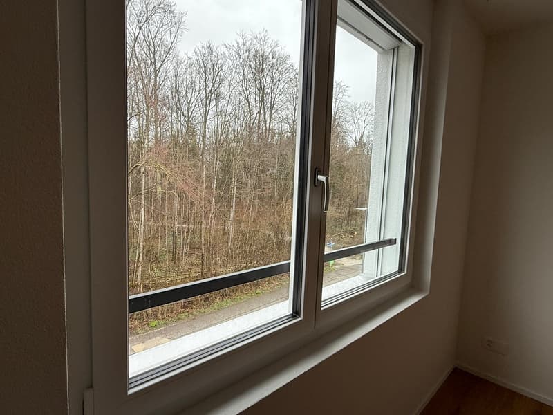 large window with view of trees and road