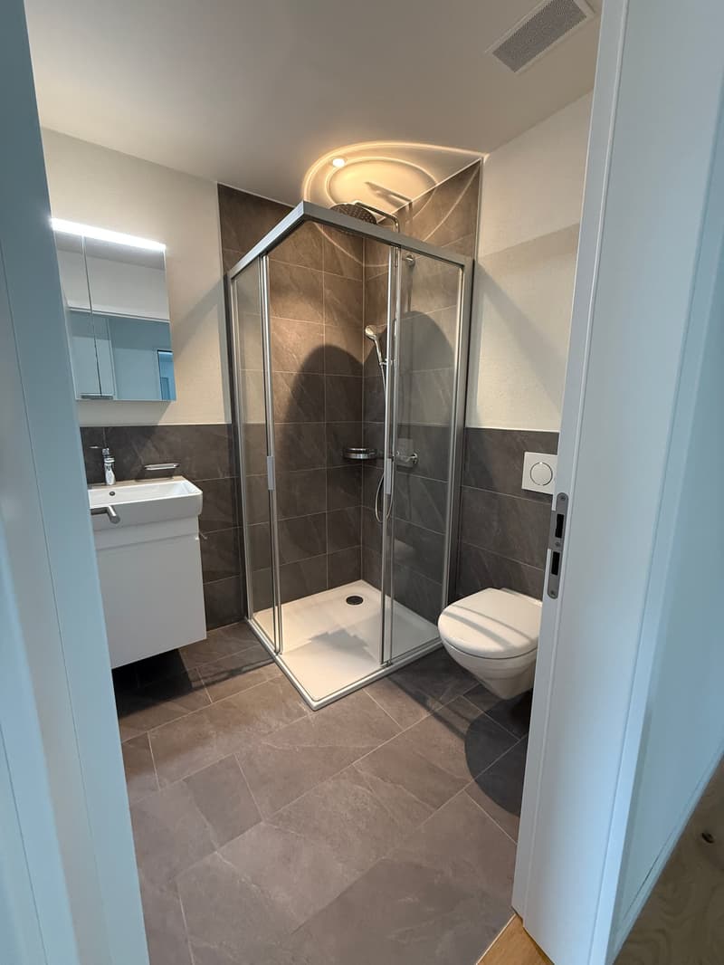 modern bathroom with shower, sink, and toilet