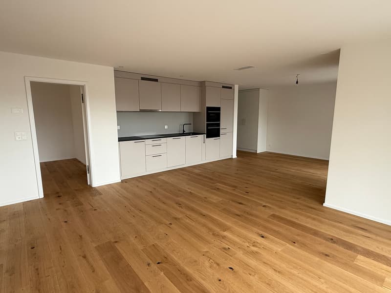 Empty room with wooden floors, white walls, kitchen with modern appliances, cabinets, and a sink.