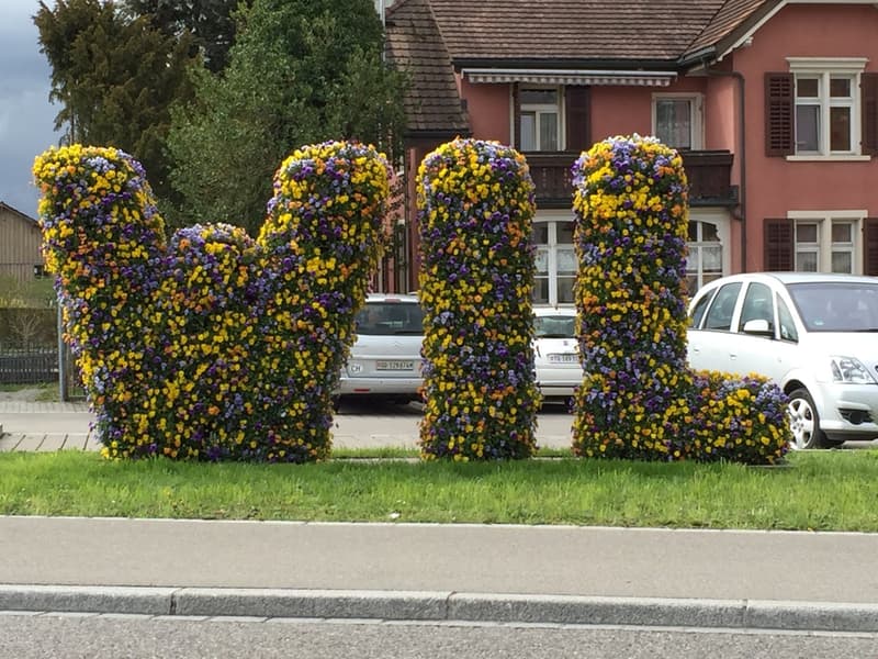 Sonnige Dachwohnung über den Dächern von Wil zu vermieten (16)