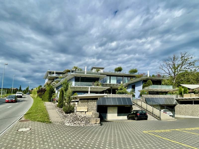 Hallwilersee: Exklusive 4.5-Zimmer-Wohnung mit grosser Garten-Terrasse, Panorama & viel Privatsphäre (8)