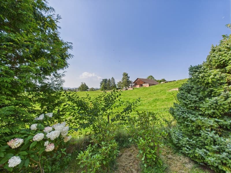 Aussicht ins Grüne