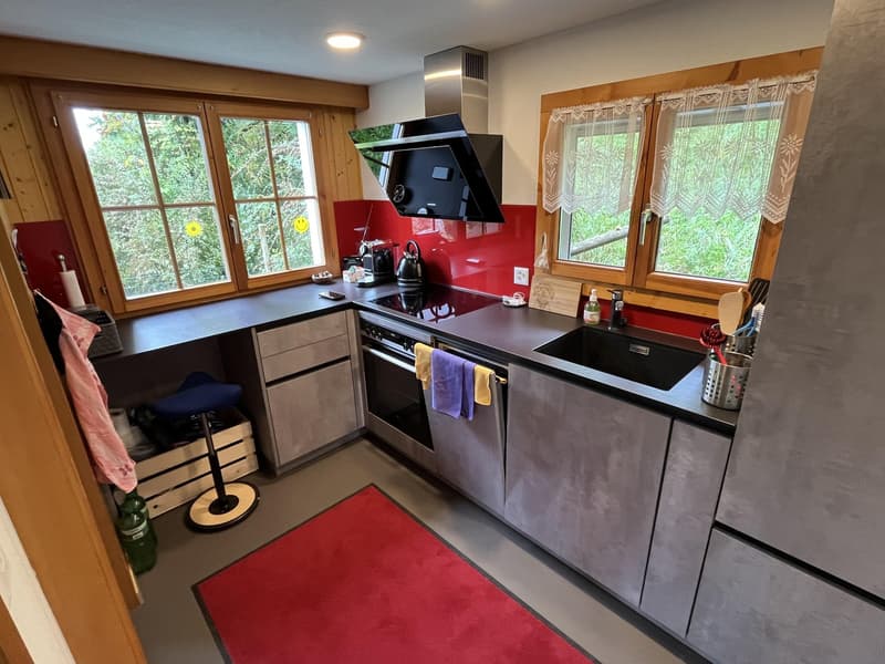 Cozy little house in the middle of nature. (7)