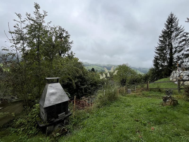 Cozy little house in the middle of nature. (12)