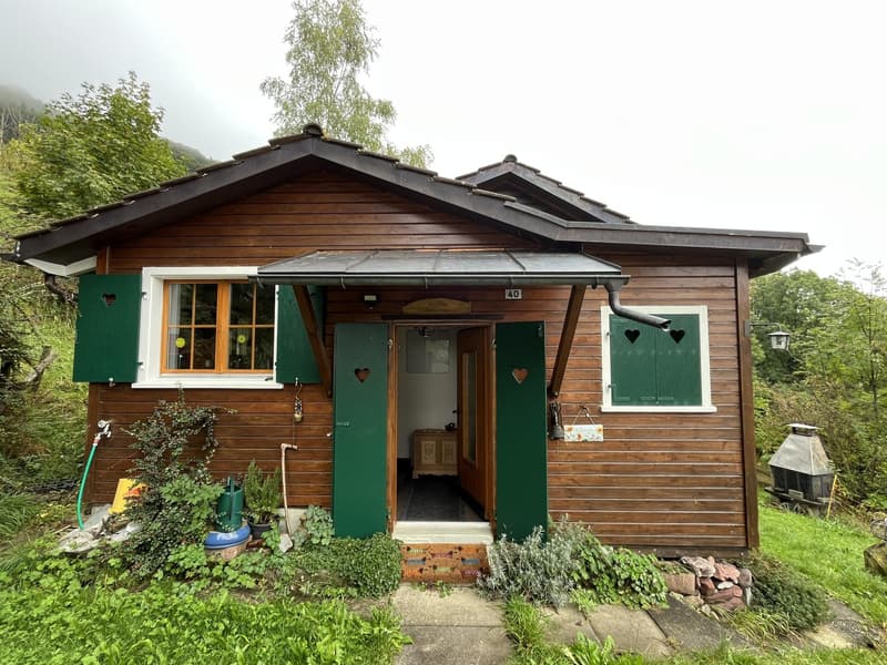 Cozy little house in the middle of nature. (11)