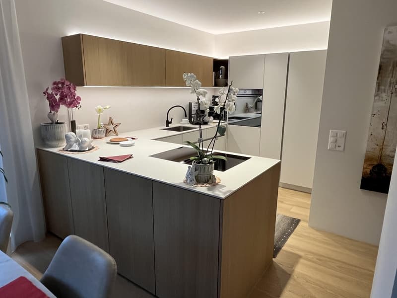 Appartement de 4,5 pièces à valeur neuve avec grand balcon (vue sur la montagne et le lac) et 2 places de parking en sous-sol. (4)