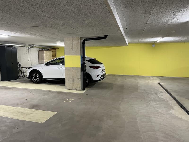 Appartement de 4,5 pièces à valeur neuve avec grand balcon (vue sur la montagne et le lac) et 2 places de parking en sous-sol. (20)