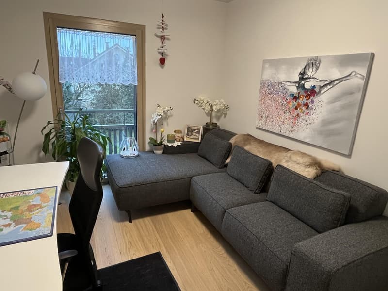 Appartement de 4,5 pièces à valeur neuve avec grand balcon (vue sur la montagne et le lac) et 2 places de parking en sous-sol. (12)