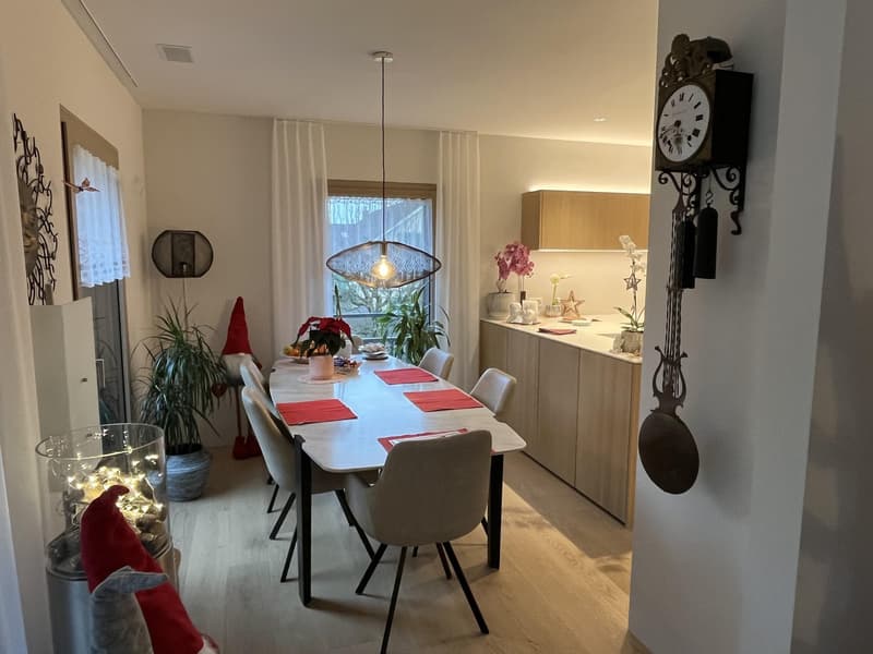 Appartement de 4,5 pièces à valeur neuve avec grand balcon (vue sur la montagne et le lac) et 2 places de parking en sous-sol. (10)