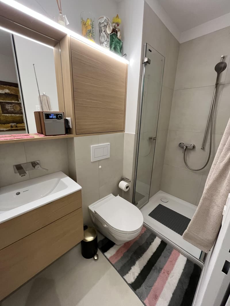 Appartement de 4,5 pièces à valeur neuve avec grand balcon (vue sur la montagne et le lac) et 2 places de parking en sous-sol. (17)
