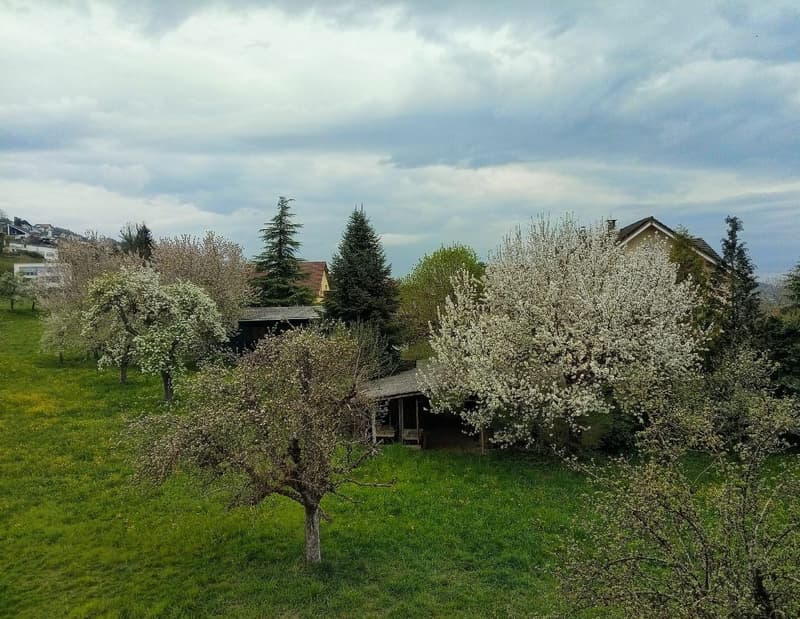 Aussicht von der Wohnung aus.