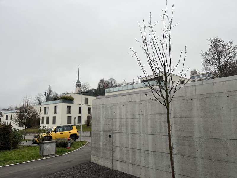 Appartement de 4,5 pièces à valeur neuve avec grand balcon (vue sur la montagne et le lac) et 2 places de parking en sous-sol. (25)