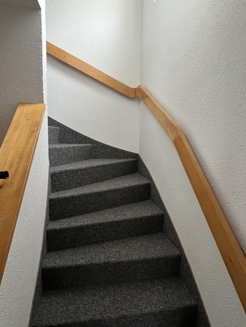 carpeted stairs with wooden railings, leading up
