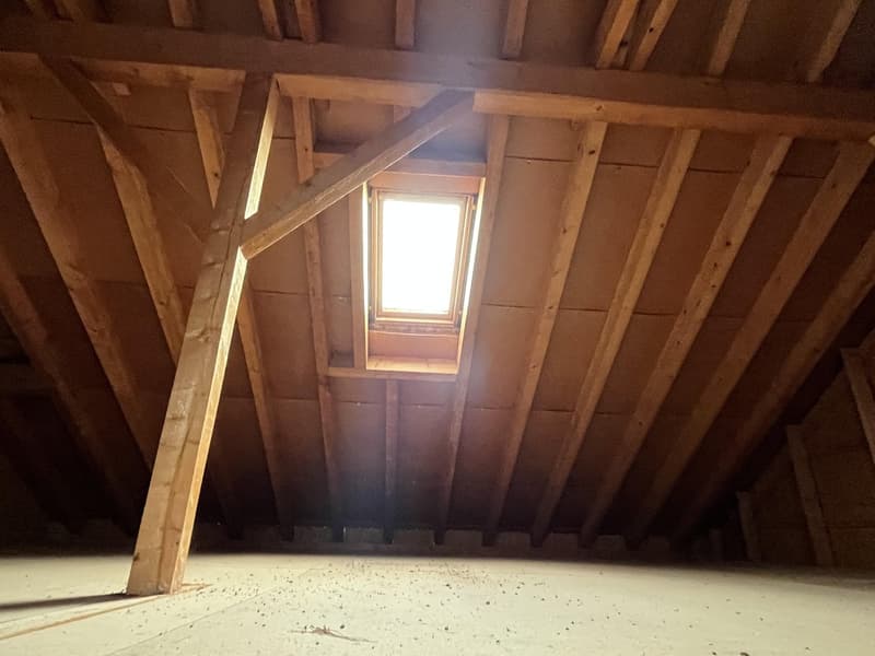 Wooden beams, ceiling light, skylight window