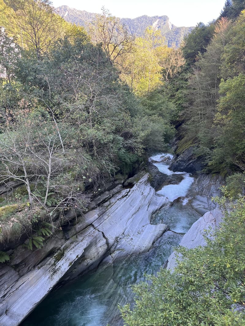 River flowing through rocky terrain, surrounded by lush green trees and plants, with a mountain range in the background.